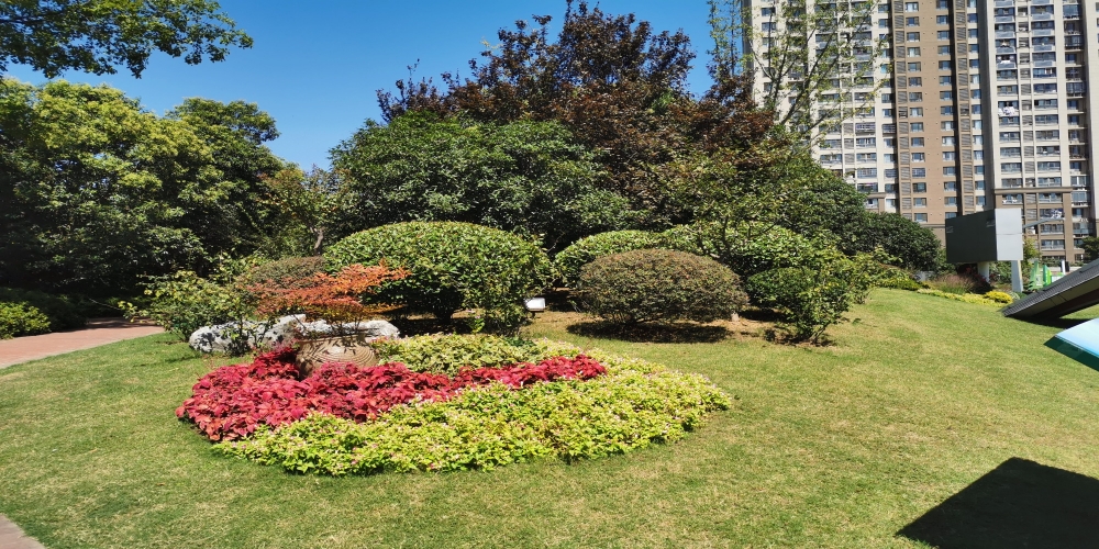 合肥廬陽區廬州公園一期綠化景觀養護