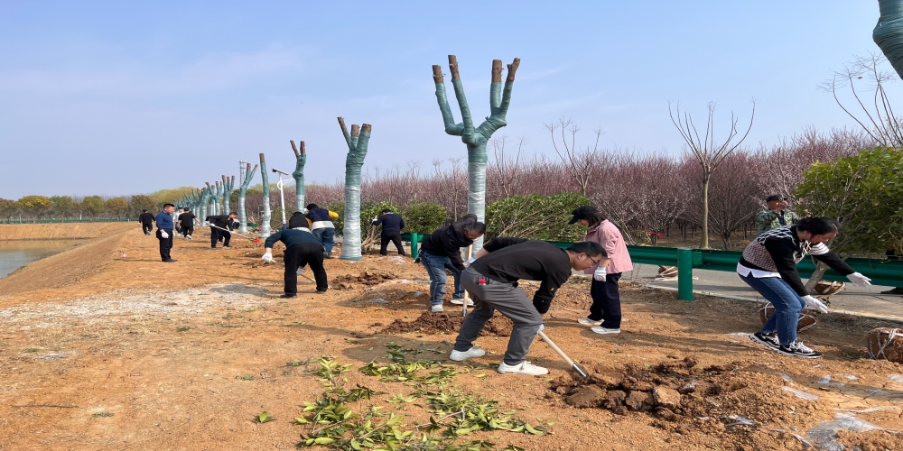 黨建引領(lǐng)共植綠 凝心聚力譜新篇 ——和合生態(tài)、德嘉置業(yè)黨支部赴小廟基地義務(wù)植樹